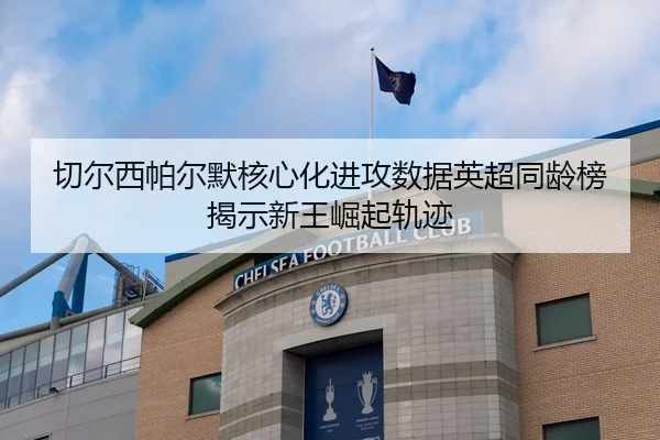 切尔西帕尔默核心化进攻数据英超同龄榜揭示新王崛起轨迹