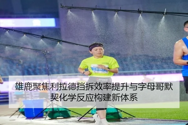 雄鹿聚焦利拉德挡拆效率提升与字母哥默契化学反应构建新体系